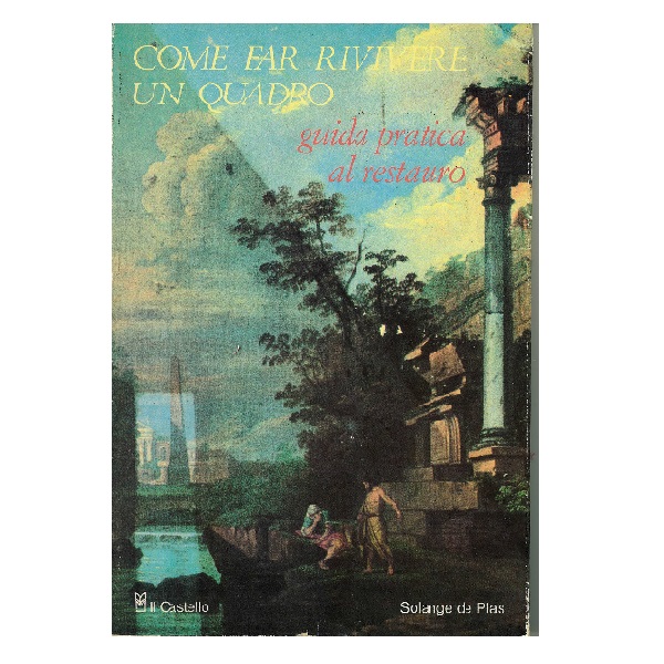 COME FAR RIVIRE UN QUADRO di S.DE PLAS 79 pag. 14×24