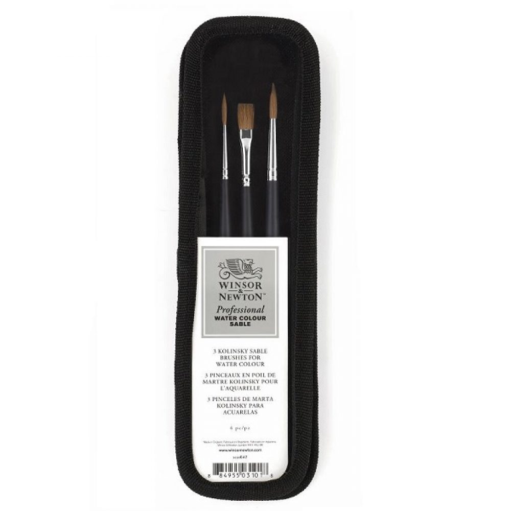 8697-set-pennelli-martora-winsor&newton-acquarello