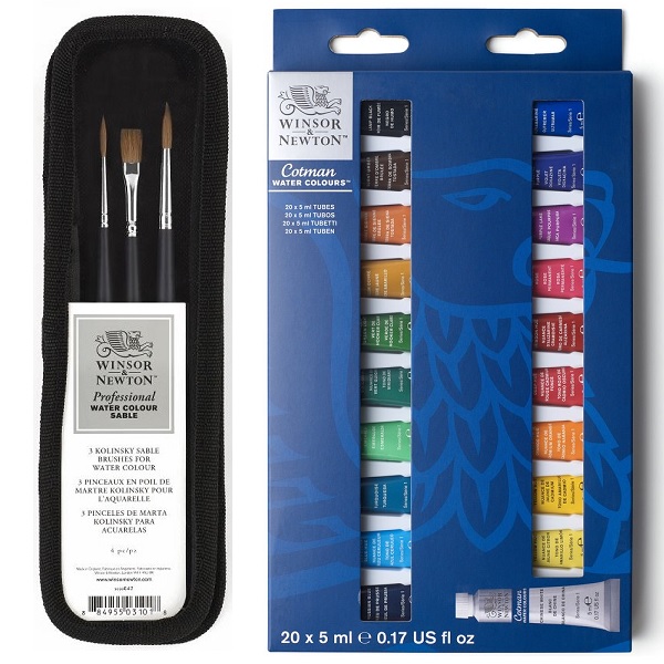 SET ACQUARELLI WINSOR & NEWTON E PENNELLI MARTORA