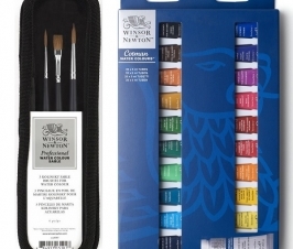 SET ACQUARELLI WINSOR & NEWTON E PENNELLI MARTORA